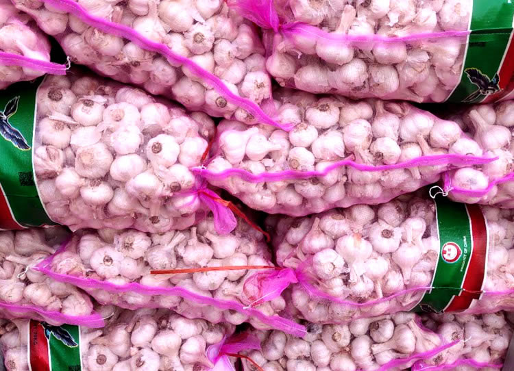 White Garlic