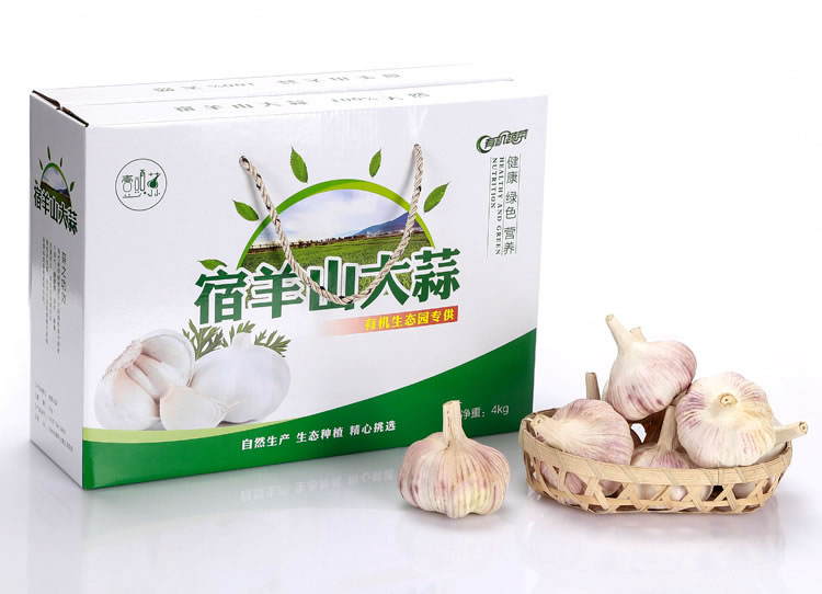 White Garlic